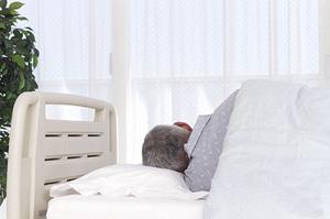 新富町でおすすめの歯医者を徹底比較!高品質な医療サービスと審美歯科治療の選び方ガイド