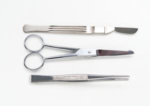 小児歯科医が教える!豊洲で子供の虫歯予防のポイント