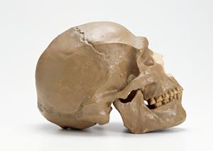 四日市市で緑内障対策ならこの眼科